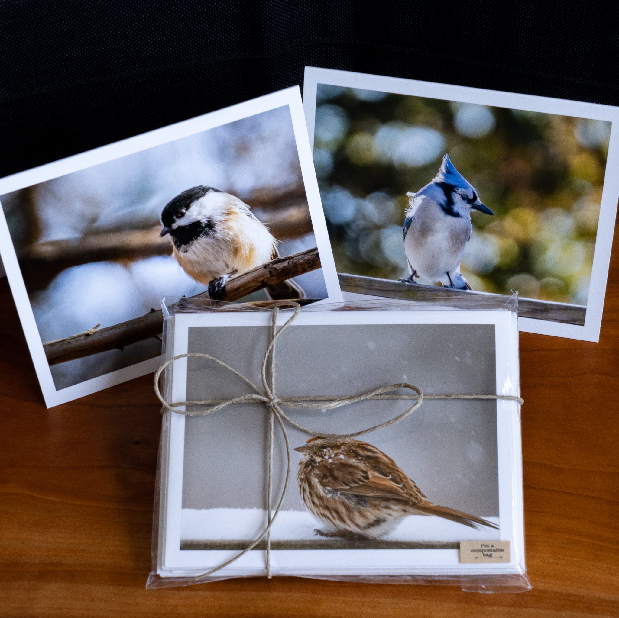 Front view of several handmade notecards printed with wildlife photographs of Canadian birds
