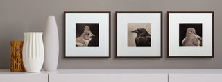 All Prints