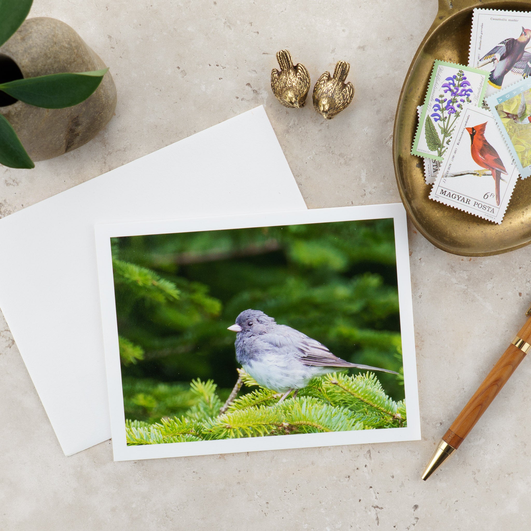 "Junco in Evergreens" Handmade Fine Art Card