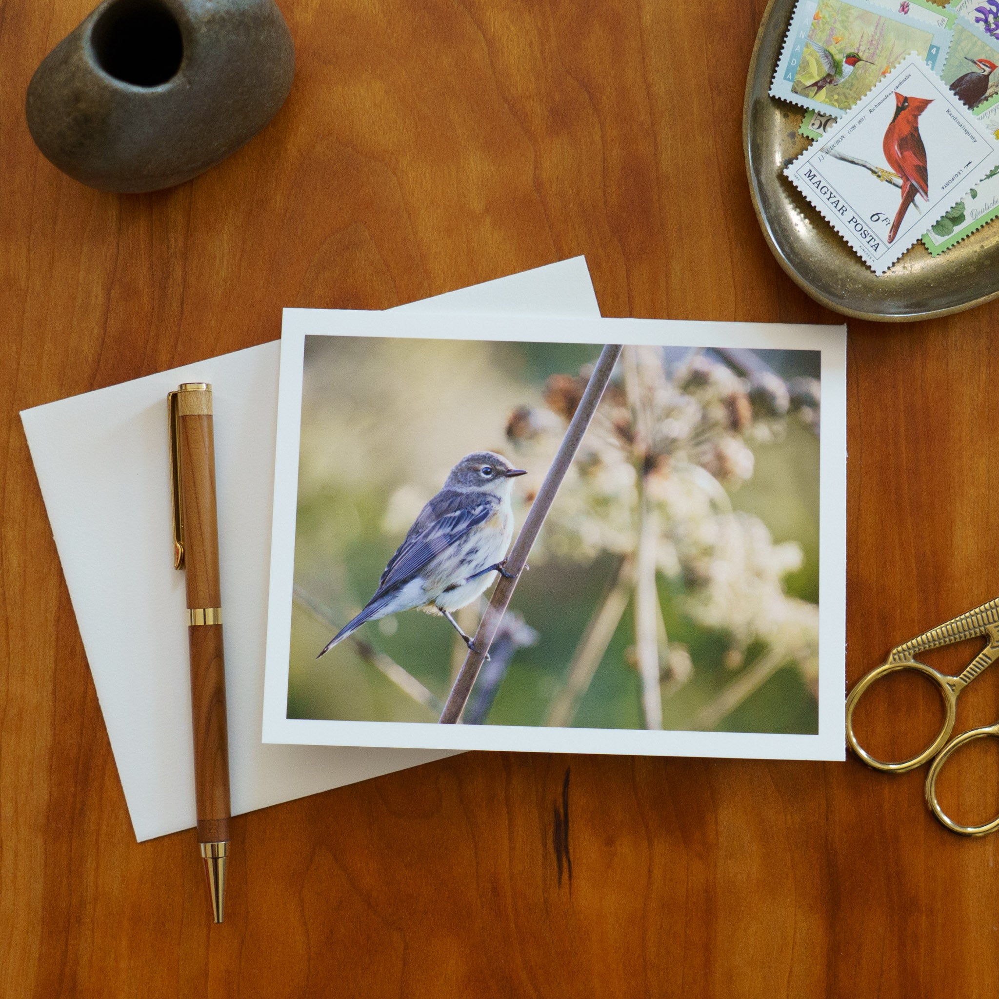 "Junco in Evergreens" Handmade Fine Art Card