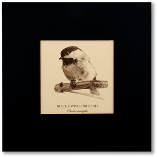 "Black-Capped Chickadee" Fine Art Giclée Print