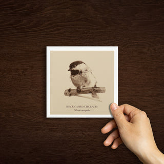 "Black-Capped Chickadee" Fine Art Giclée Print