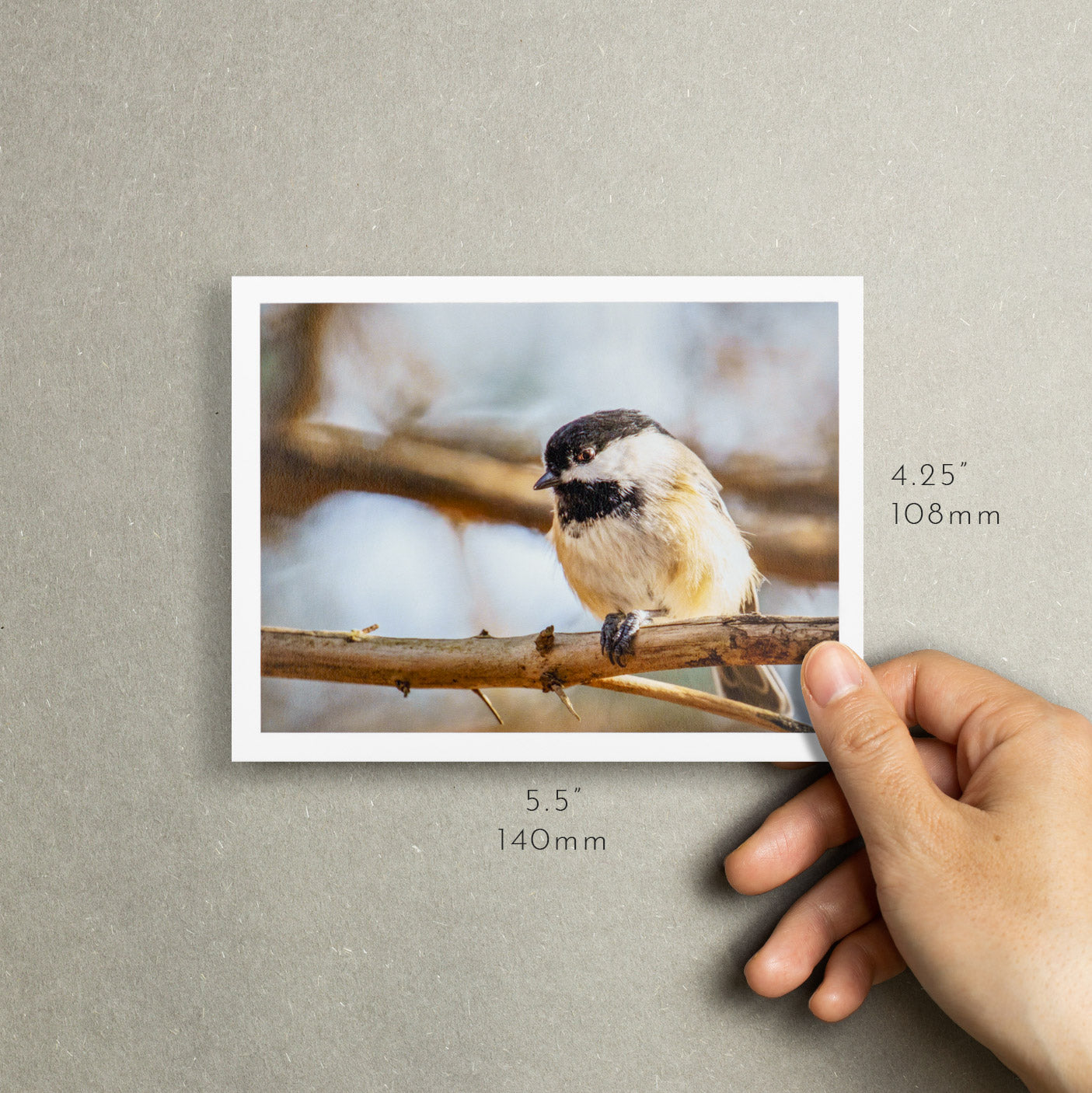 "Chickadee Side-Eye" Handmade Fine Art Card