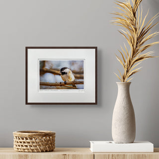 Black-Capped Chickadee Vibrant Collection Signed Giclée Print