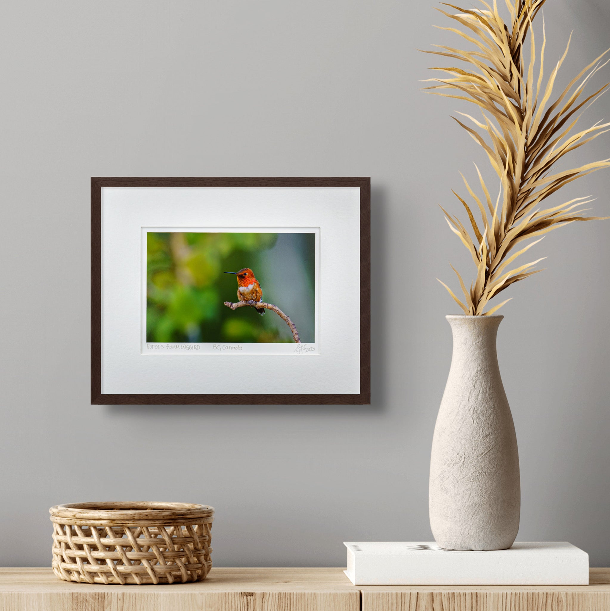 "Perched Rufous Hummingbird" Fine Art Giclée Print