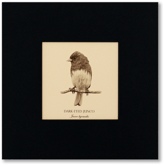 "Dark-Eyed Junco" Fine Art Giclée Print