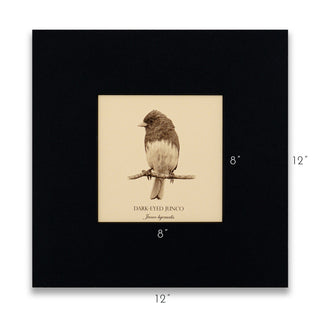 "Dark-Eyed Junco" Fine Art Giclée Print