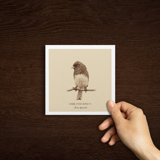 "Dark-Eyed Junco" Fine Art Giclée Print