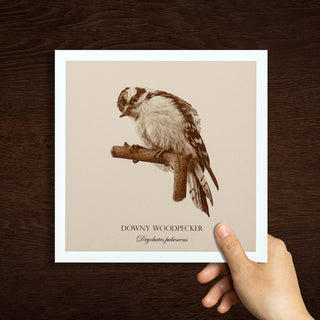 "Downy Woodpecker" Fine Art Giclée Print