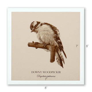 "Downy Woodpecker" Fine Art Giclée Print