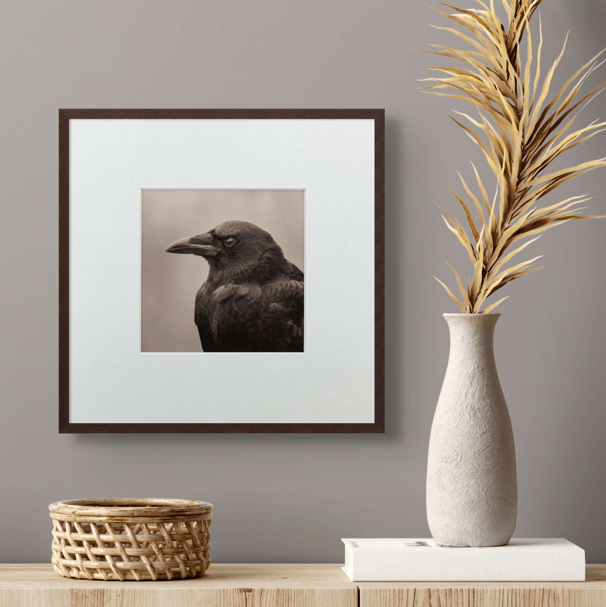 "Portrait of an American Crow" Fine Art Giclée Print