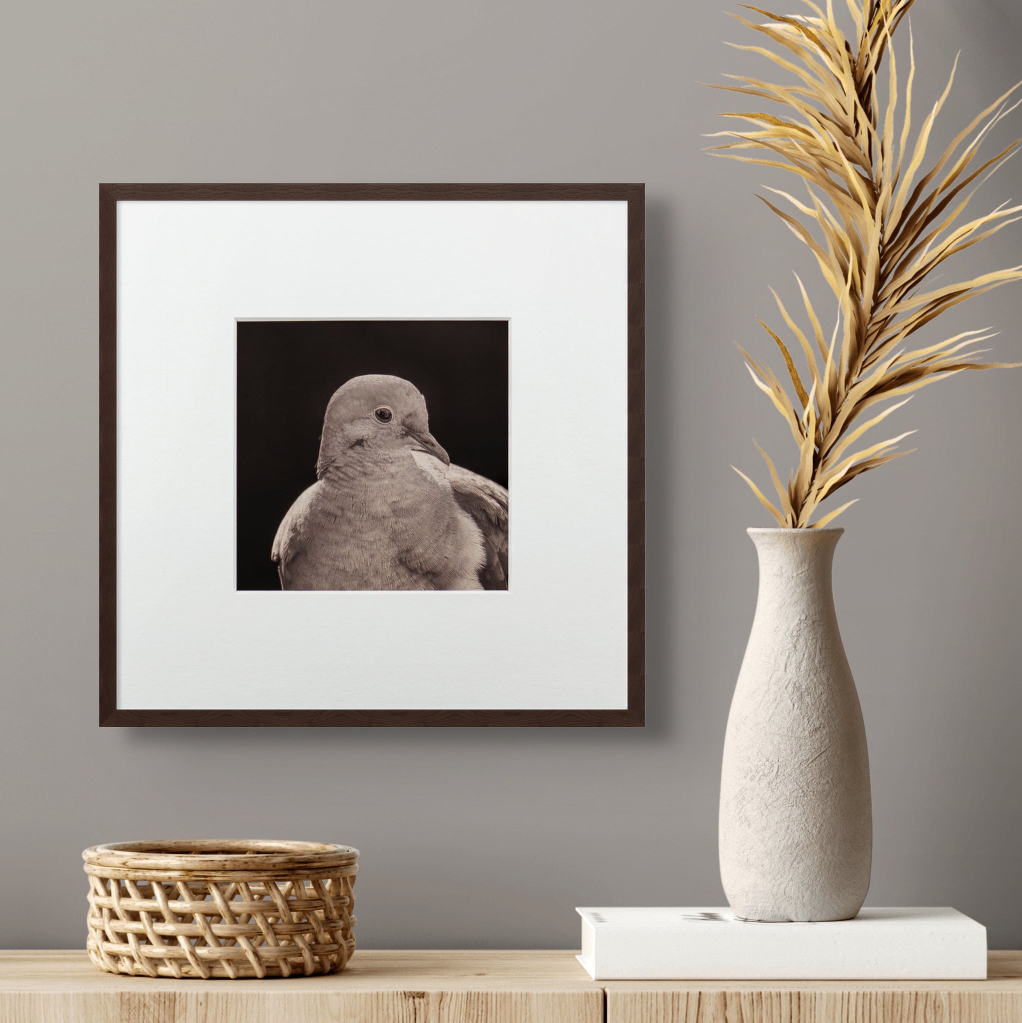 "Portrait of a Mourning Dove" Fine Art Giclée Print