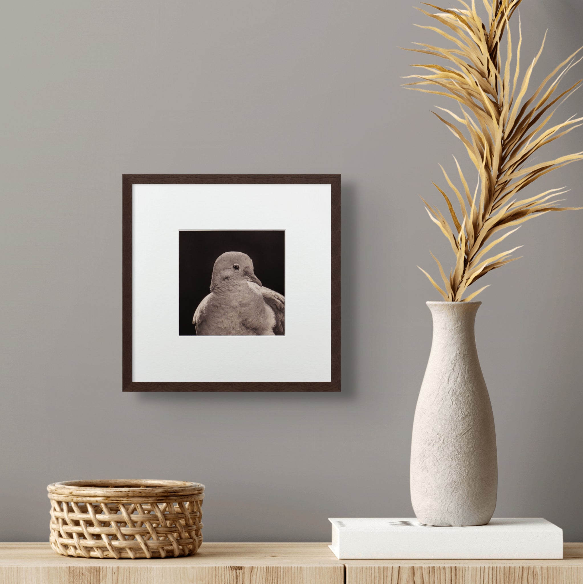 "Portrait of a Mourning Dove" Fine Art Giclée Print