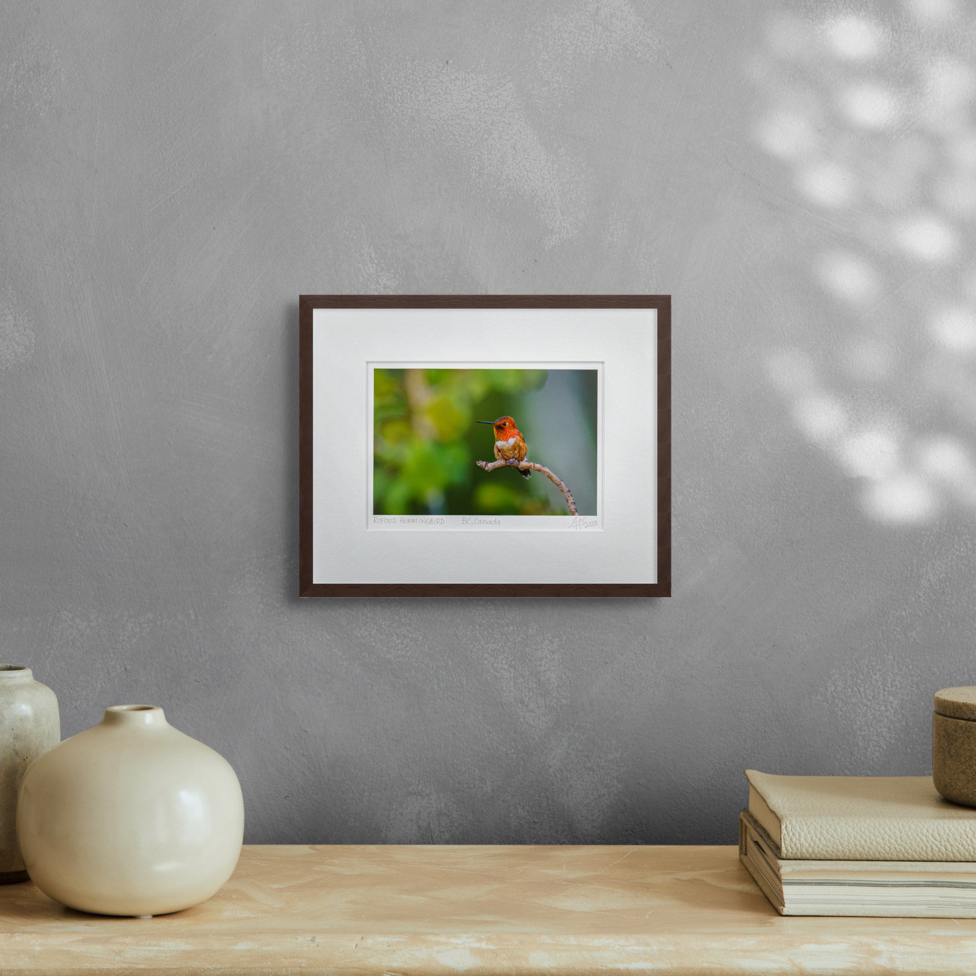 "Perched Rufous Hummingbird" Fine Art Giclée Print