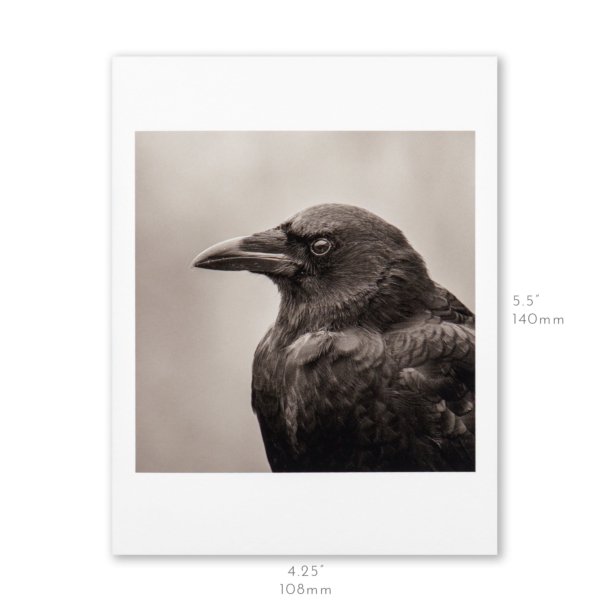 "Portrait of an American Crow" Handmade Fine Art Card
