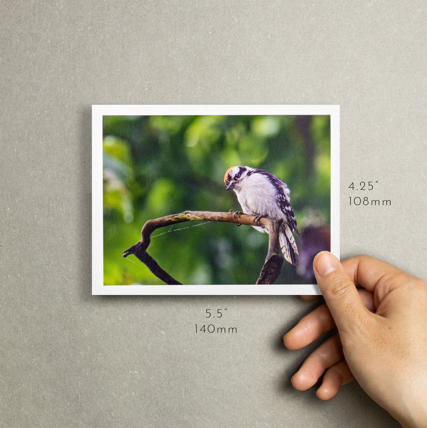 "Inquisitive Woodpecker" Handmade Fine Art Card