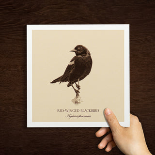 "Red-Winged Blackbird" Fine Art Giclée Print