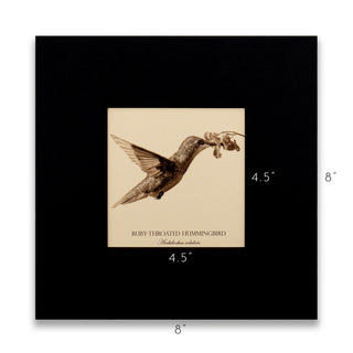 "Ruby-Throated Hummingbird" Fine Art Giclée Print