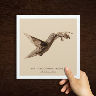 "Ruby-Throated Hummingbird" Fine Art Giclée Print