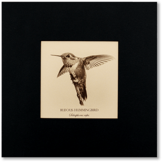 Sepia-toned photograph of a rufous hummingbird on a black background