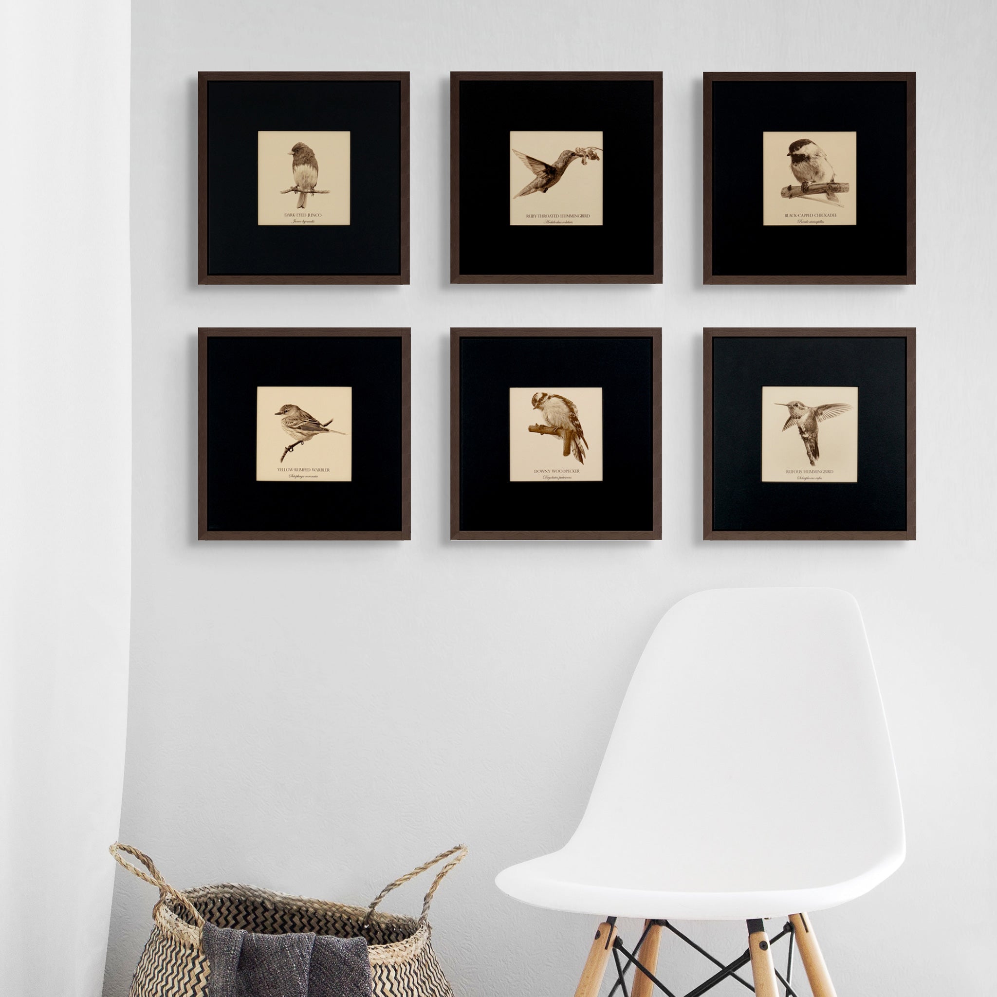 "Dark-Eyed Junco" Fine Art Giclée Print