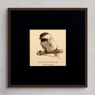 "Black-Capped Chickadee" Fine Art Giclée Print