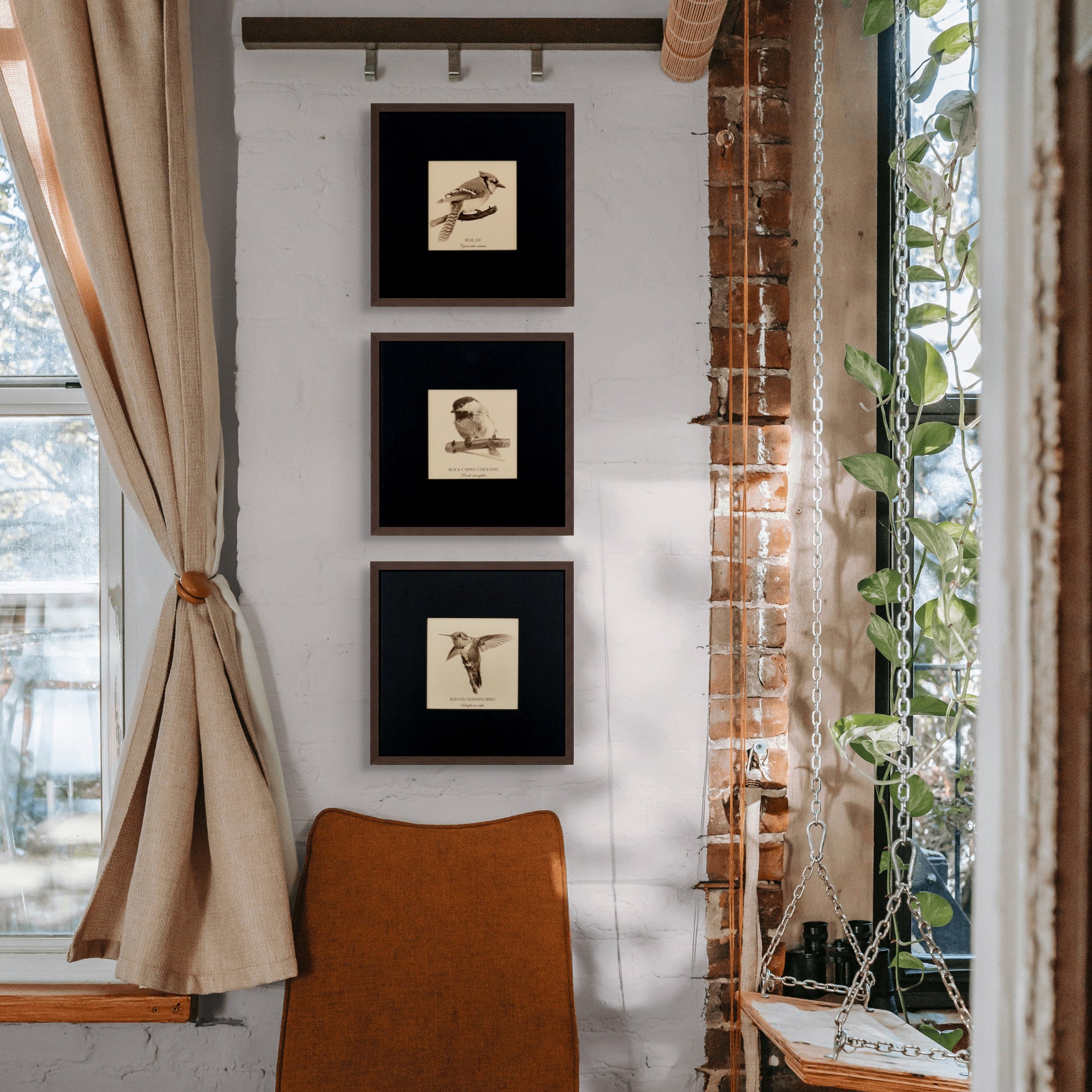 "Rufous Hummingbird" Fine Art Giclée Print