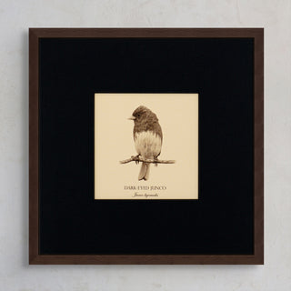 "Dark-Eyed Junco" Fine Art Giclée Print