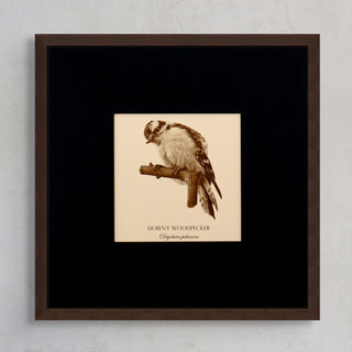 "Downy Woodpecker" Fine Art Giclée Print