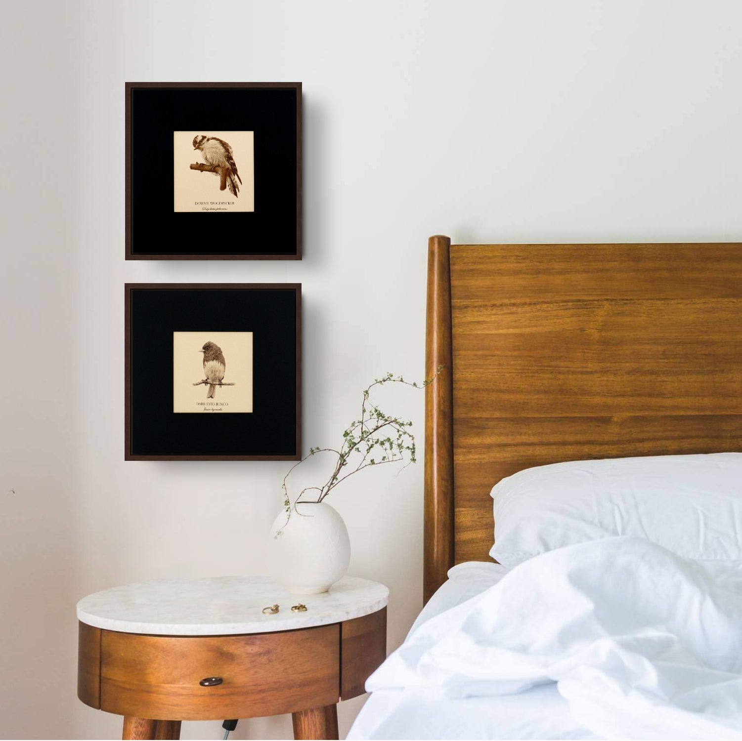 "Dark-Eyed Junco" Fine Art Giclée Print