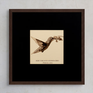 "Ruby-Throated Hummingbird" Fine Art Giclée Print