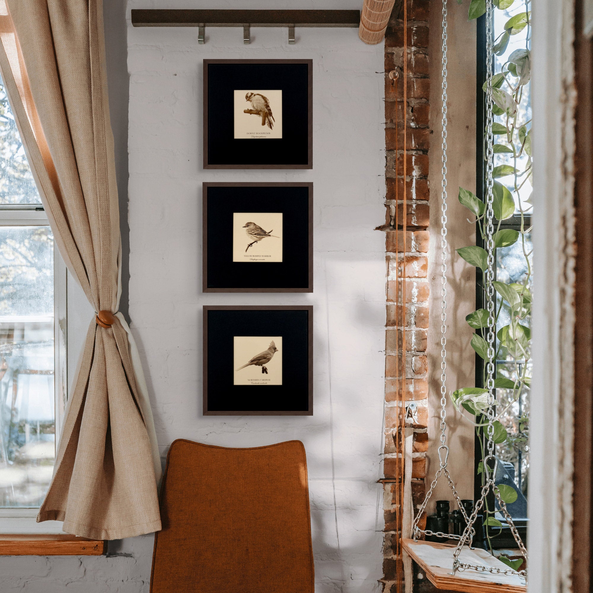 "Yellow-Rumped Warbler" Fine Art Giclée Print