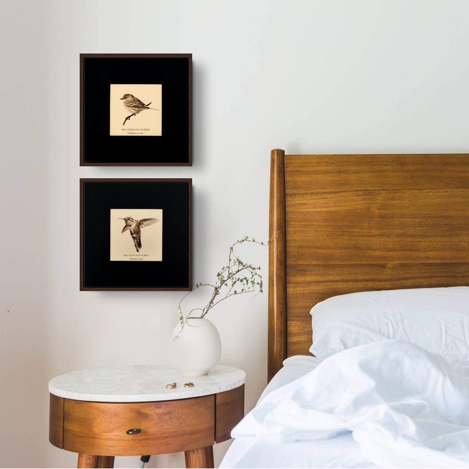 "Rufous Hummingbird" Fine Art Giclée Print