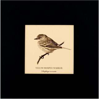 "Yellow-Rumped Warbler" Fine Art Giclée Print