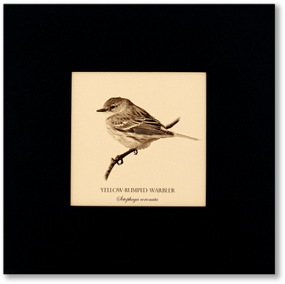 "Yellow-Rumped Warbler" Fine Art Giclée Print