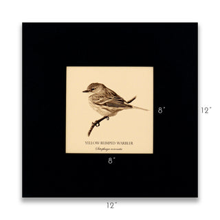 "Yellow-Rumped Warbler" Fine Art Giclée Print