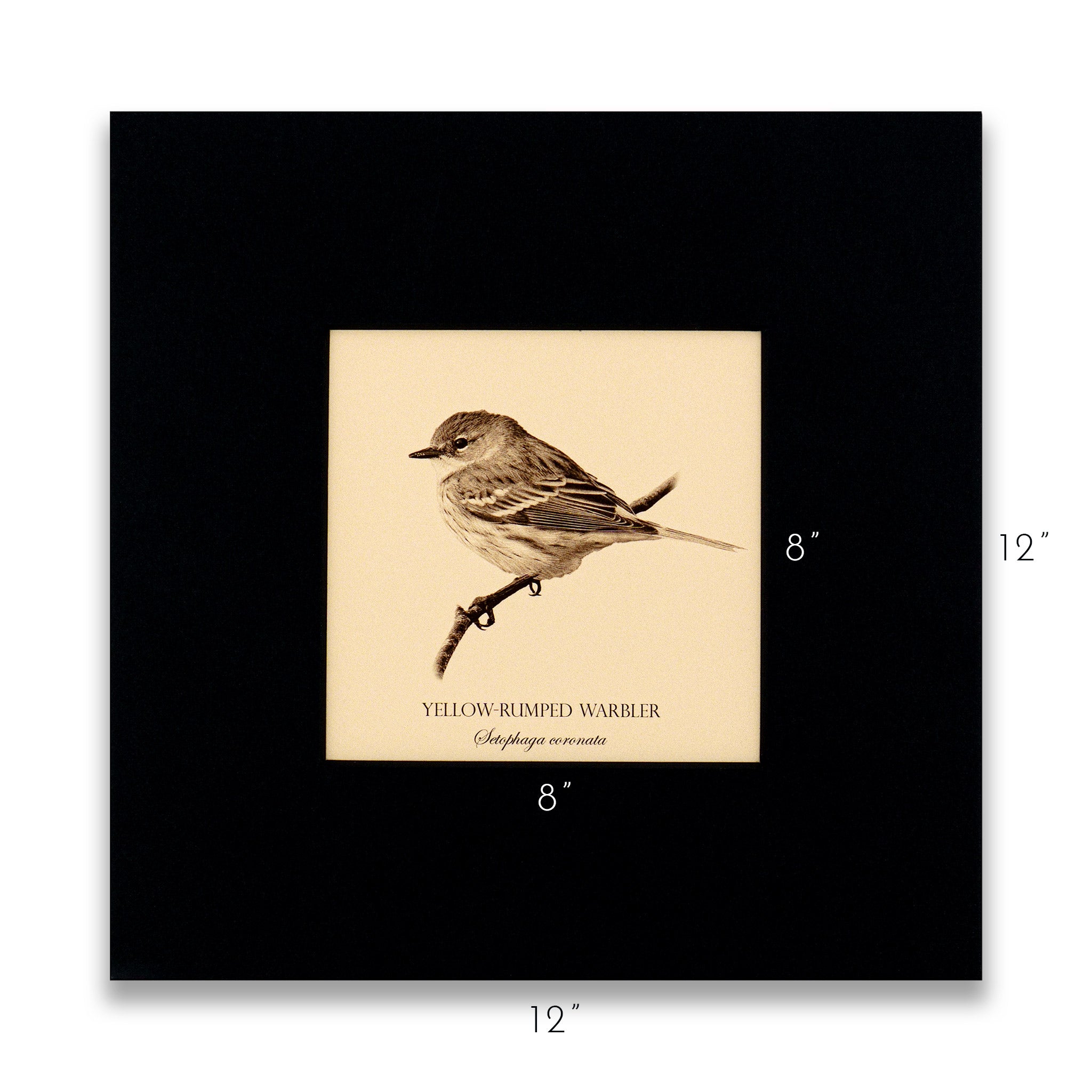 "Yellow-Rumped Warbler" Fine Art Giclée Print