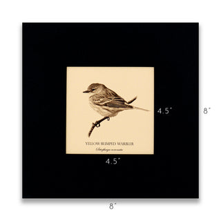 "Yellow-Rumped Warbler" Fine Art Giclée Print