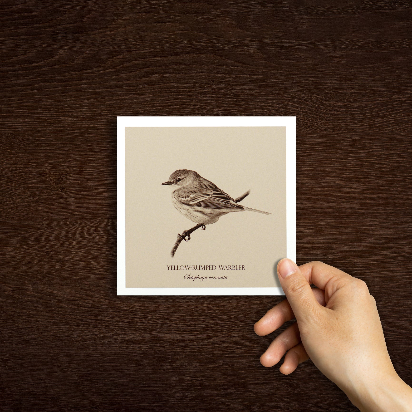 "Yellow-Rumped Warbler" Fine Art Giclée Print