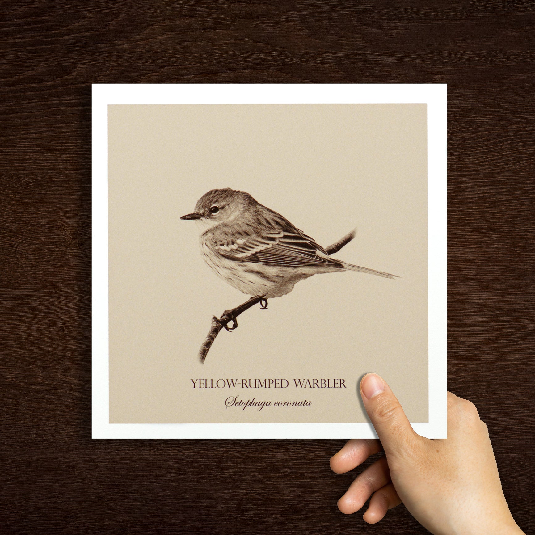 "Yellow-Rumped Warbler" Fine Art Giclée Print