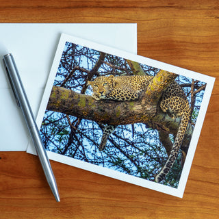 Front view of a notecard lying flat on a table with pen and envelope printed with photograph of an African leopard in a tree