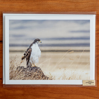 Notecard printed with a photograph of an augur buzzard standing on a rock shown in transparent compostable packaging