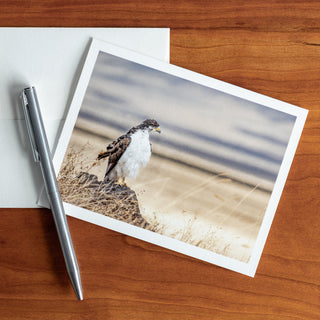 Front view of a notecard lying flat on a table with pen and envelope printed with photograph of an augur buzzard on a rock