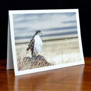 Angled view of a handmade notecard printed with a wildlife photograph of a buzzard standing on a rock in a dry grassy plain