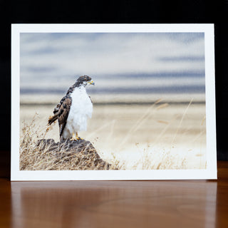 Front of a handmade notecard printed with a wildlife photograph of an augur buzzard standing on a rock in a dry grassy plain