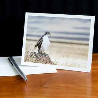 Angled view of notecard on a table with pen and envelope printed with photograph of a buzzard standing on a rock in dry plain