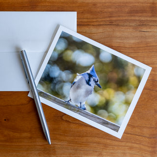 Front view of a handmade notecard with wildlife photograph of a blue jay lying flat on a table with pen and envelope