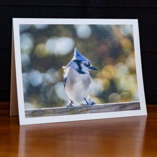 Angled view of a handmade notecard printed with a wildlife photograph of a blue jay with fall colours in the background