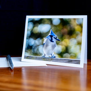 Angled view of a handmade notecard printed with a wildlife photograph of a blue jay upright on a table with pen and envelope