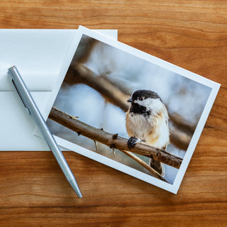 Front view of a notecard printed with photograph of a chickadee perched in a tree  lying flat on a table with pen and envelope 
